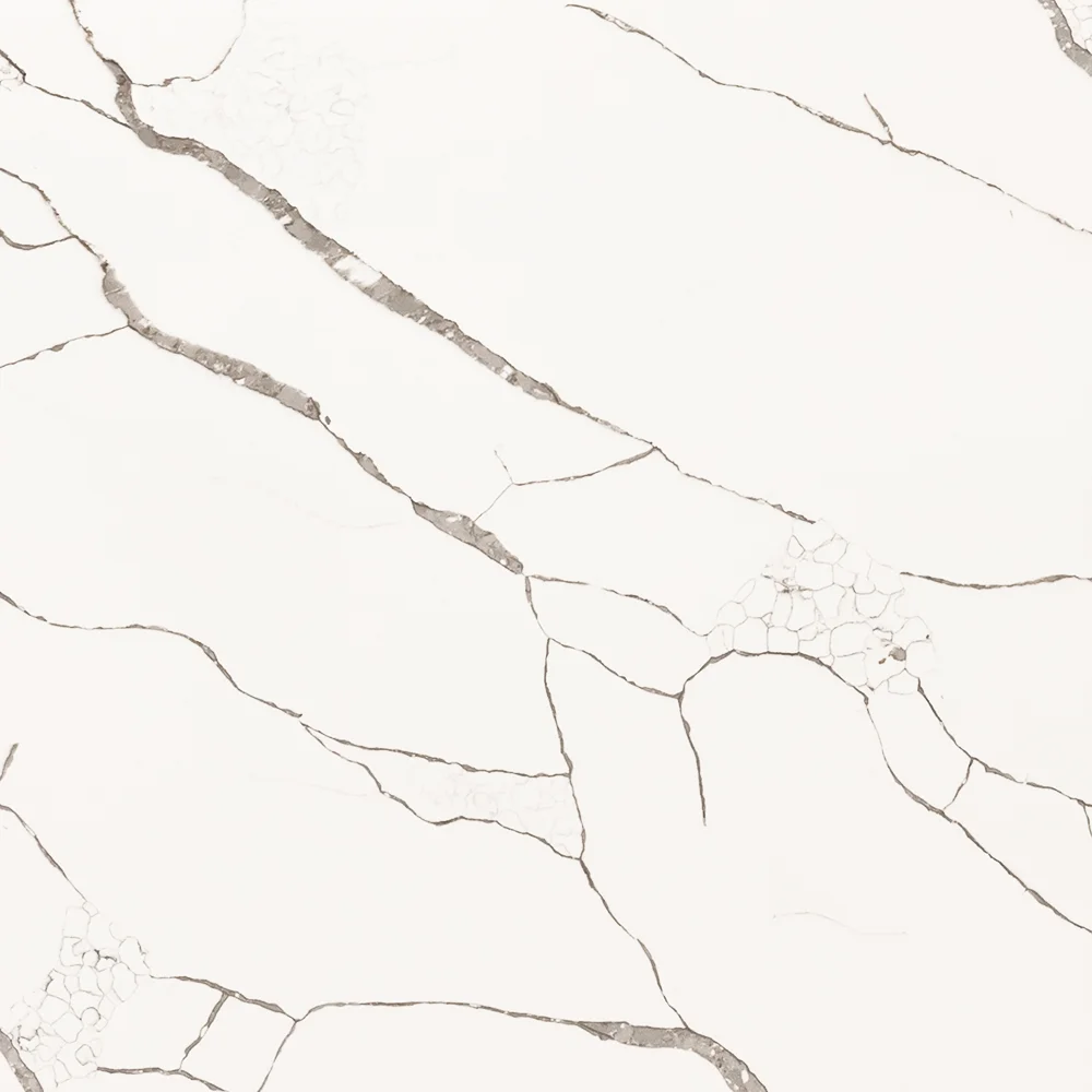 Quartz color sample of Calacatta Bella