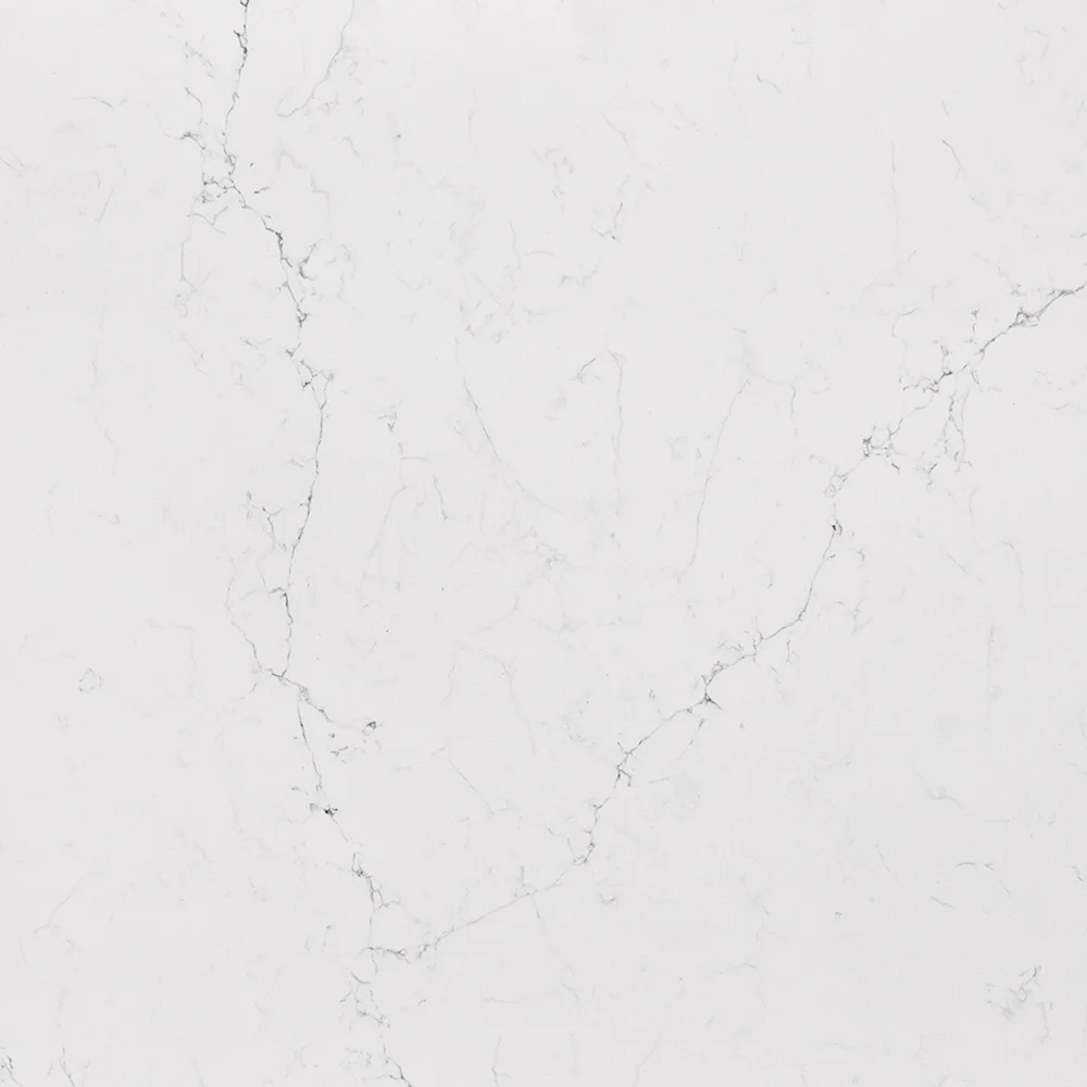 Quartz color sample of Magnifico